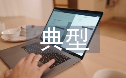 審計風險典型案例
