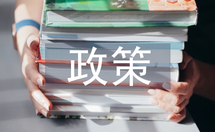 補充醫療保險政策