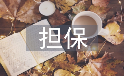 擔(dān)保事業(yè)發(fā)展中的會計(jì)問題思考