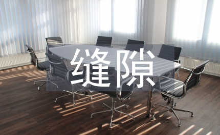 無縫隙稅收征管