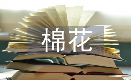 關(guān)于棉花移栽技術(shù)意見(jiàn)
