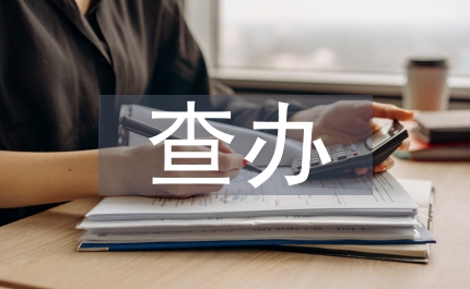 紀委查辦案件工作總結