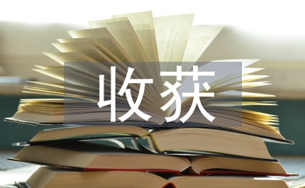 清明節(jié)的收獲與體會