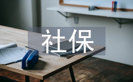 社保統(tǒng)計(jì)工作總結(jié)