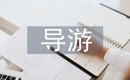 導游隊伍建設現狀