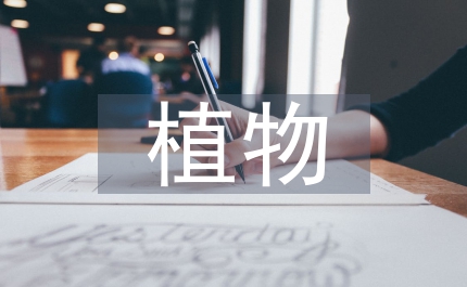 植物造型設計
