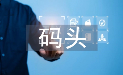 縣政辦非法碼頭清理取締通知
