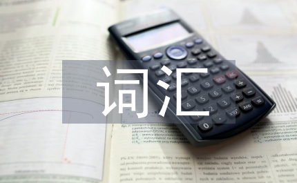建構主義下對外漢語詞匯教學探究