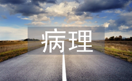 病理院感科工作計劃