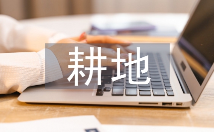 耕地總量動態平衡