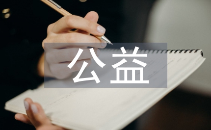 公益訴訟經濟法論文