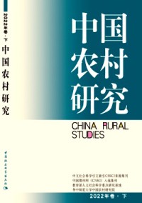 中國農(nóng)村研究雜志